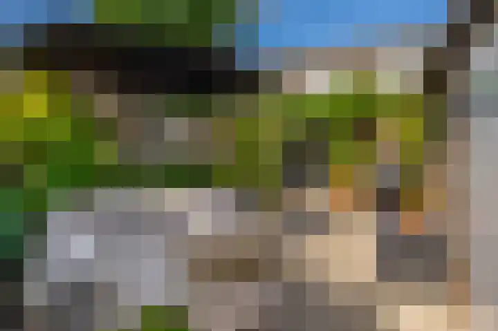 Julianastraat 16 Lekkerkerk thumbnail 4