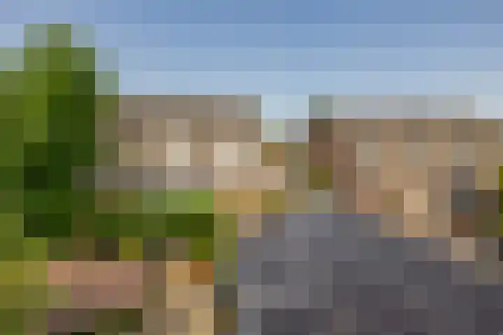 Julianastraat 16 Lekkerkerk thumbnail 41
