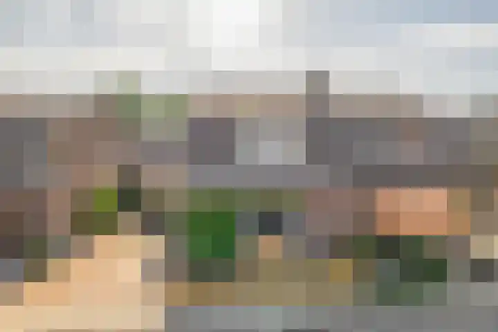 Julianastraat 16 Lekkerkerk thumbnail 43