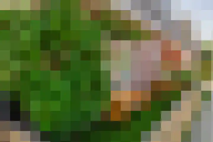 Julianastraat 16 Lekkerkerk thumbnail 5