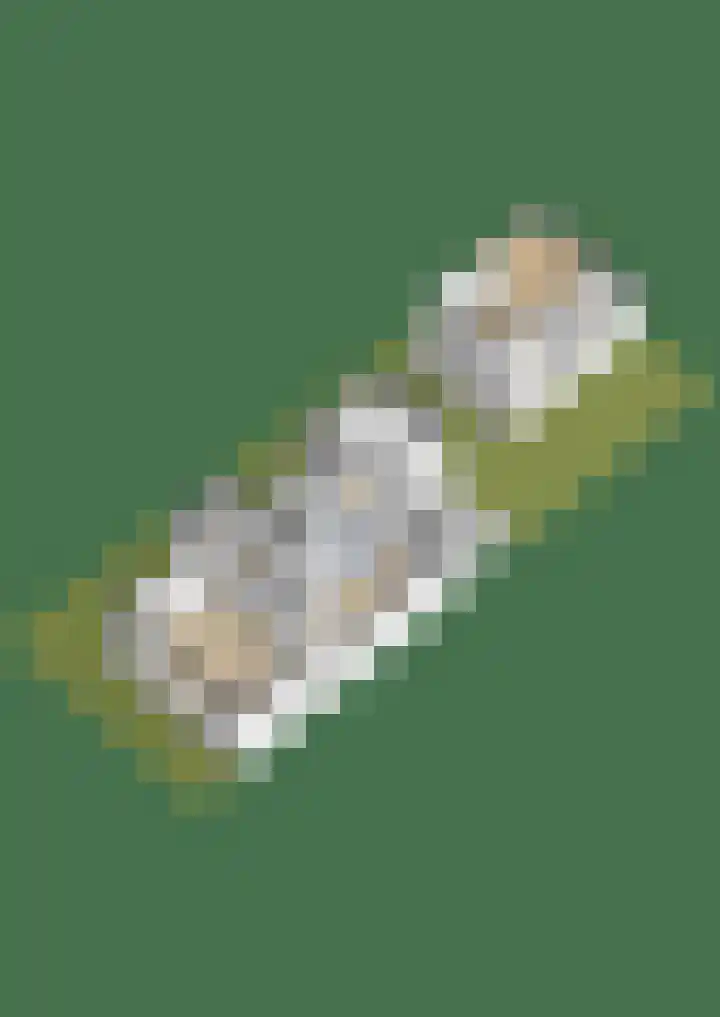 Julianastraat 16 Lekkerkerk thumbnail 50