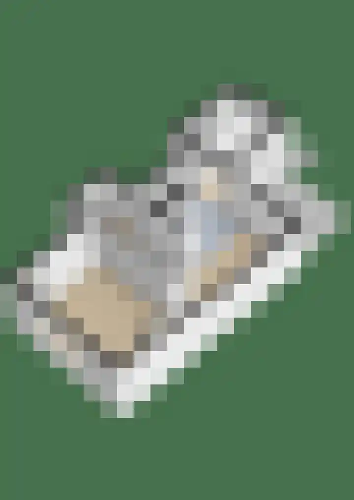 Julianastraat 16 Lekkerkerk thumbnail 52