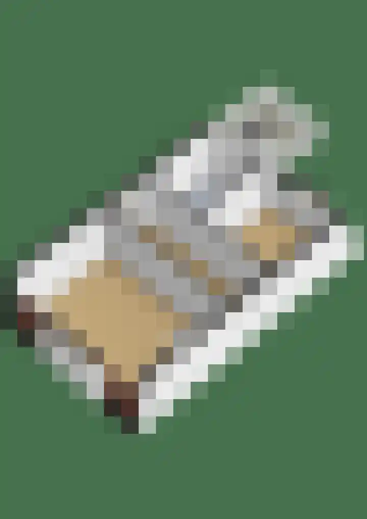 Julianastraat 16 Lekkerkerk thumbnail 54