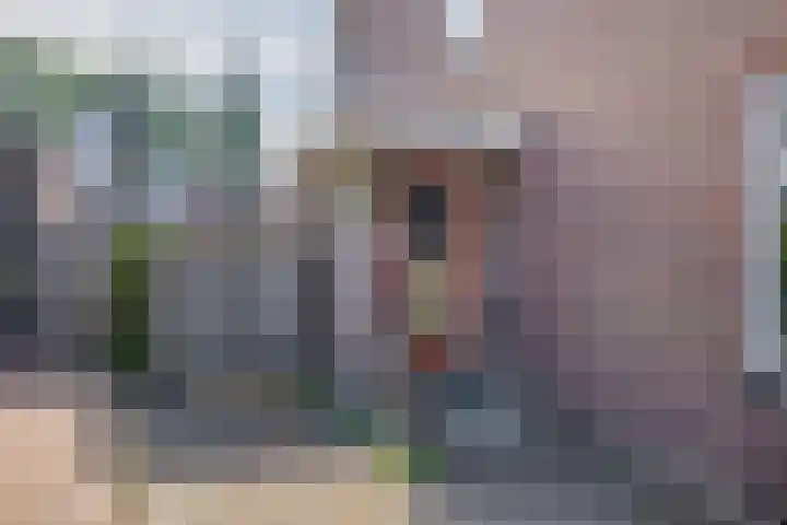 Julianastraat 16 Lekkerkerk thumbnail 6