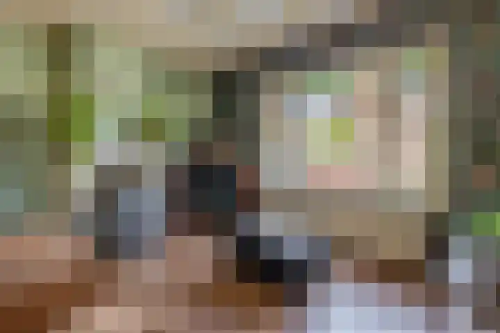 Julianastraat 16 Lekkerkerk thumbnail 8