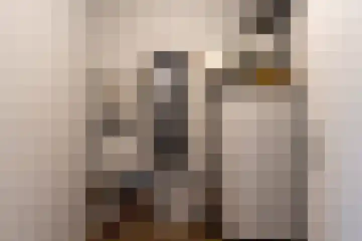 Julianastraat 17 a Hank thumbnail 11