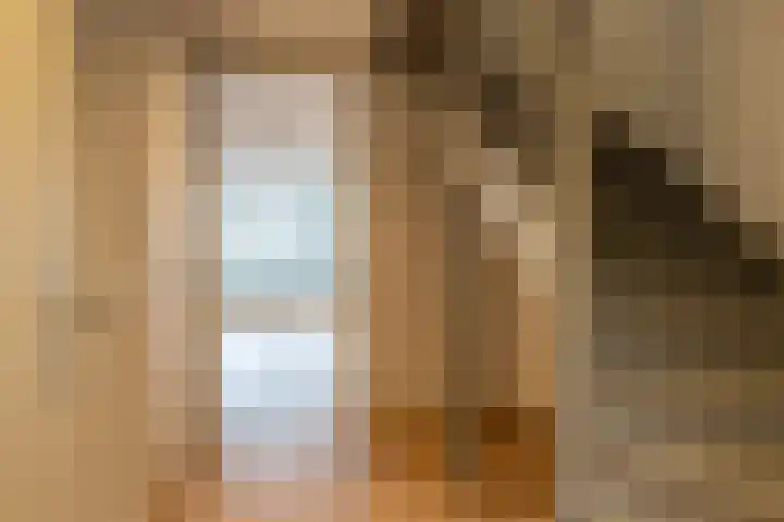 Julianastraat 17 a Hank thumbnail 13