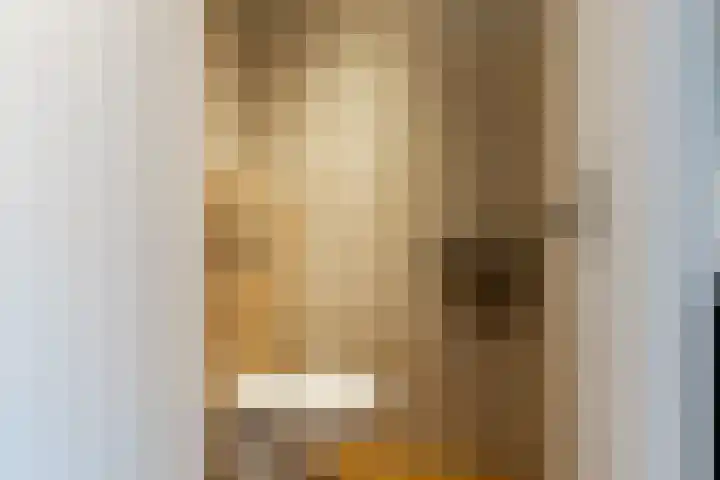 Julianastraat 17 a Hank thumbnail 14