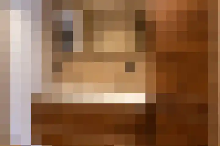 Julianastraat 17 a Hank thumbnail 18