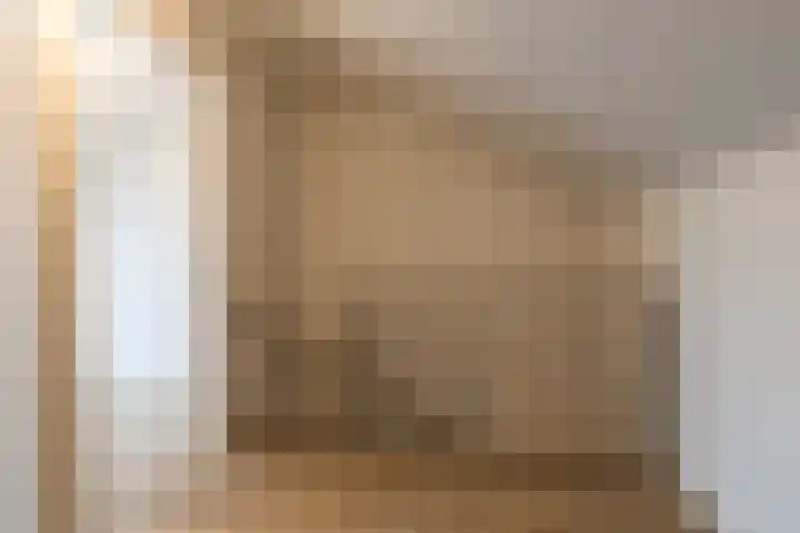 Julianastraat 17 a Hank thumbnail 20