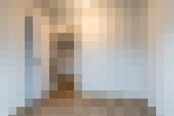 Julianastraat 17 a Hank thumbnail 25