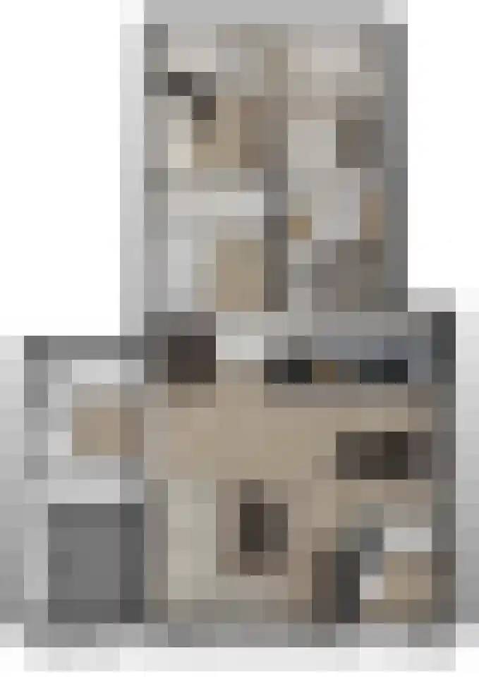 Julianastraat 17 a Hank thumbnail 27