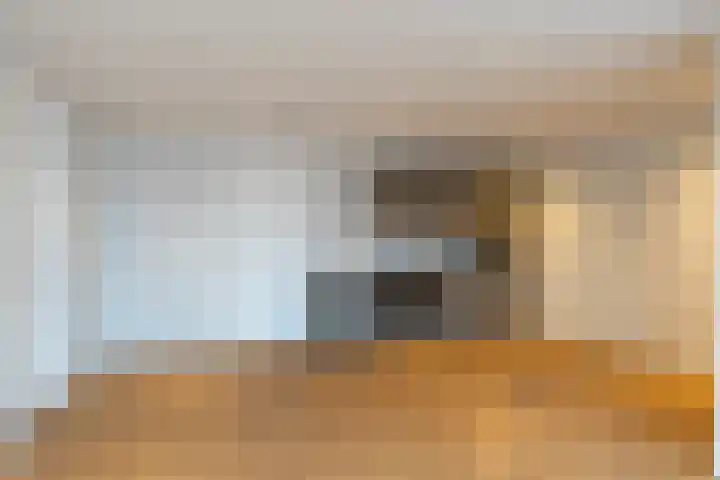Julianastraat 17 a Hank thumbnail 8