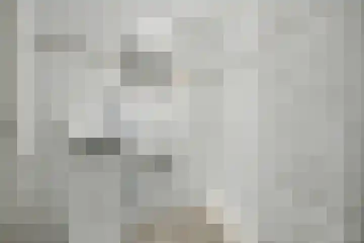 Julianastraat 17 Groningen thumbnail 22