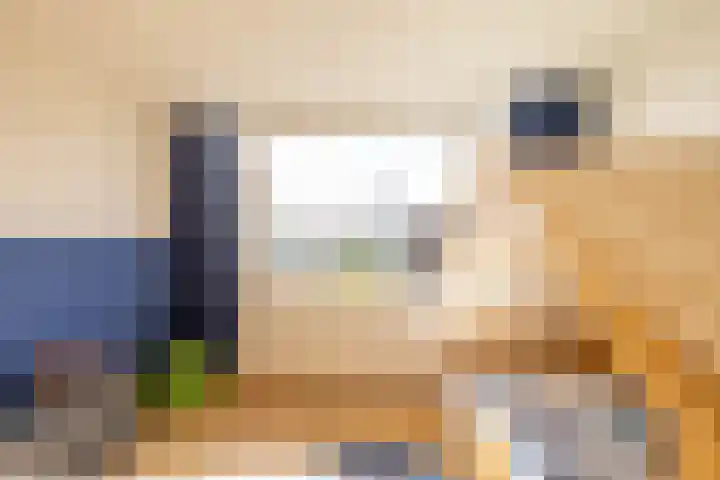 Julianastraat 17 Groningen thumbnail 23