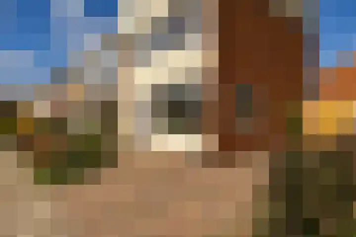 Julianastraat 17 Groningen thumbnail 4