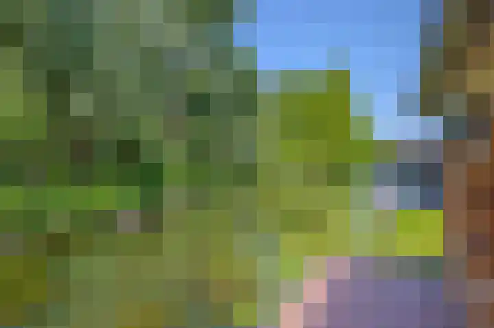 Julianastraat 17 Groot-Ammers thumbnail 35