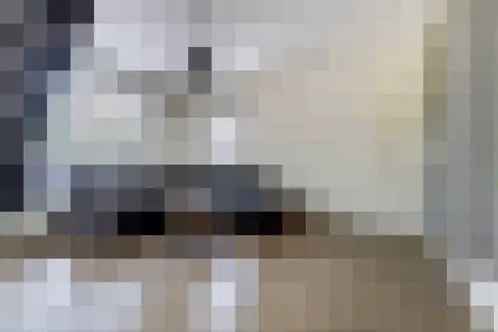 Julianastraat 17 Hank thumbnail 10