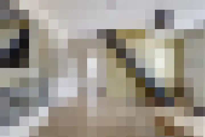 Julianastraat 17 Hank thumbnail 12