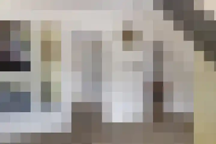 Julianastraat 17 Hank thumbnail 13