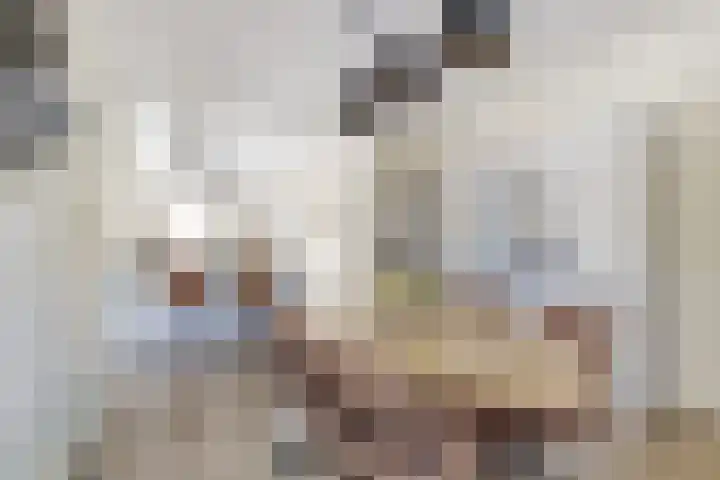 Julianastraat 17 Hank thumbnail 19