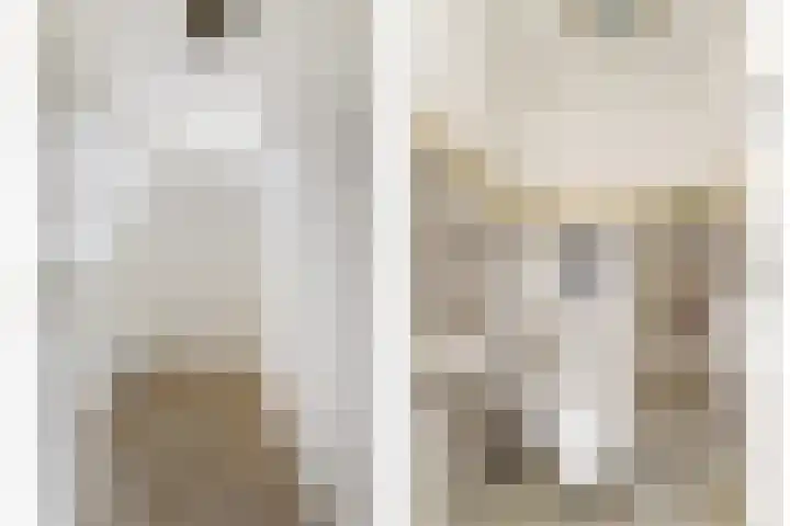 Julianastraat 17 Hank thumbnail 21