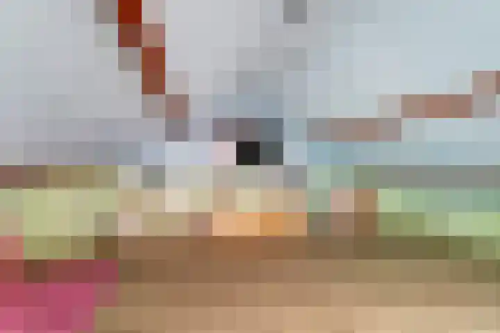 Julianastraat 17 Hank thumbnail 28