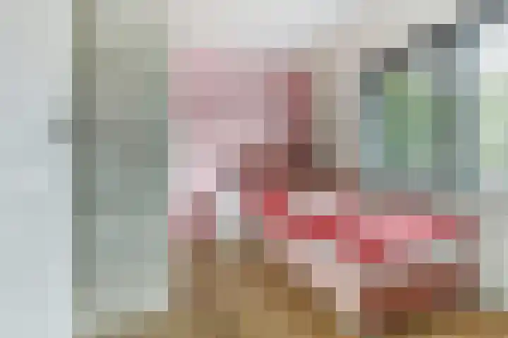 Julianastraat 17 Hank thumbnail 29