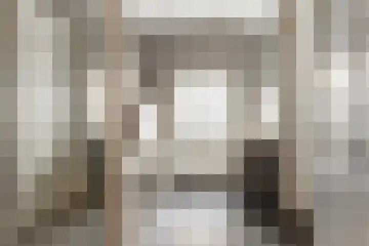 Julianastraat 17 Hank thumbnail 30