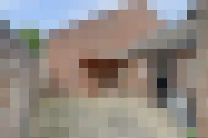Julianastraat 17 Hank thumbnail 35