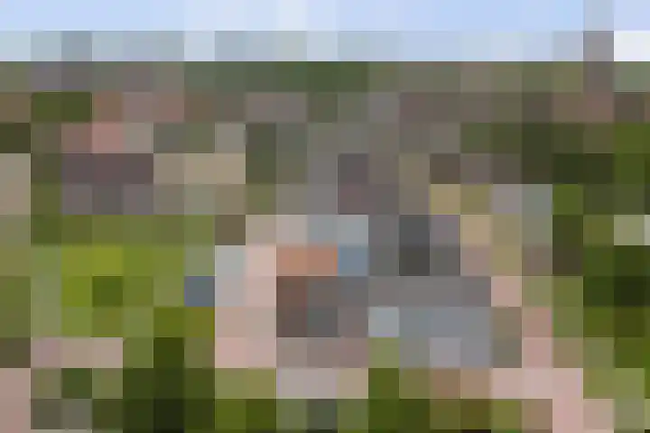 Julianastraat 17 Hank thumbnail 39