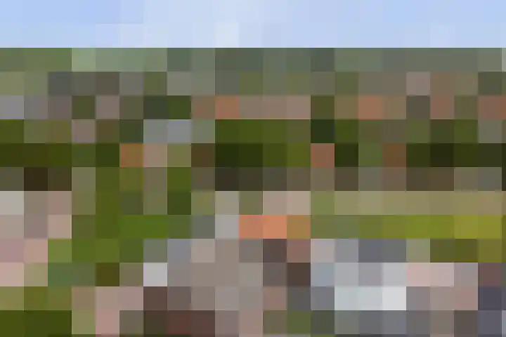 Julianastraat 17 Hank thumbnail 40