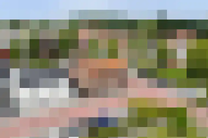 Julianastraat 17 Hank thumbnail 5