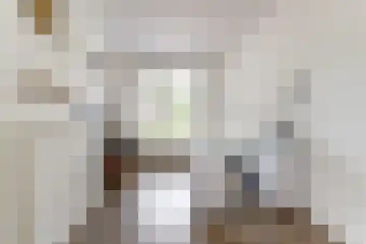 Julianastraat 17 Hank thumbnail 8
