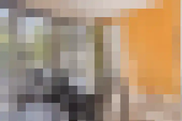 Julianastraat 17 Heikant thumbnail 20
