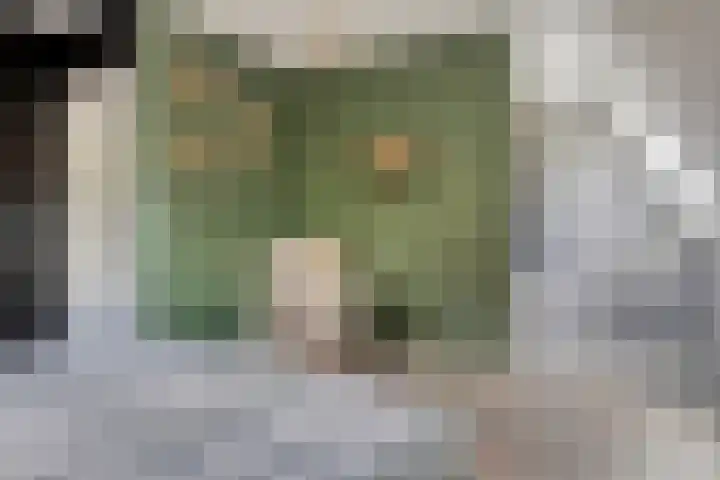 Julianastraat 17 Heikant thumbnail 23