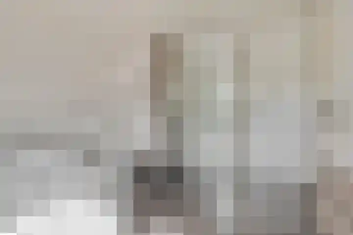 Julianastraat 17 Heikant thumbnail 27