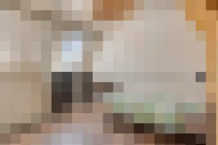 Julianastraat 17 Heikant thumbnail 30