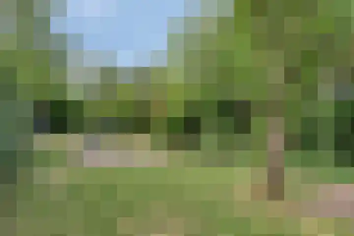 Julianastraat 17 Heikant thumbnail 36