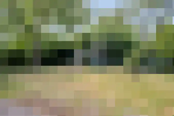 Julianastraat 17 Heikant thumbnail 37