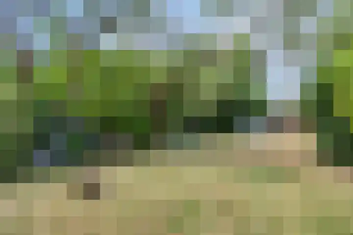 Julianastraat 17 Heikant thumbnail 38