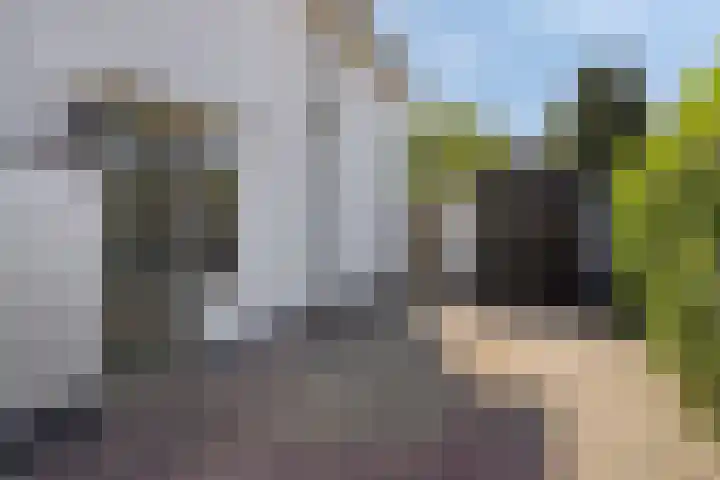 Julianastraat 17 Heikant thumbnail 8