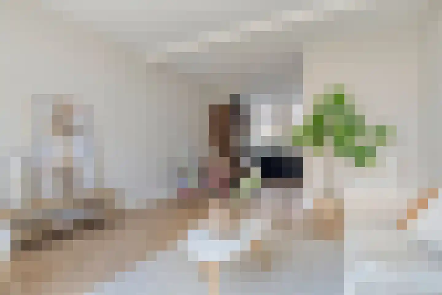 Julianastraat 17 Koog aan de Zaan thumbnail 13