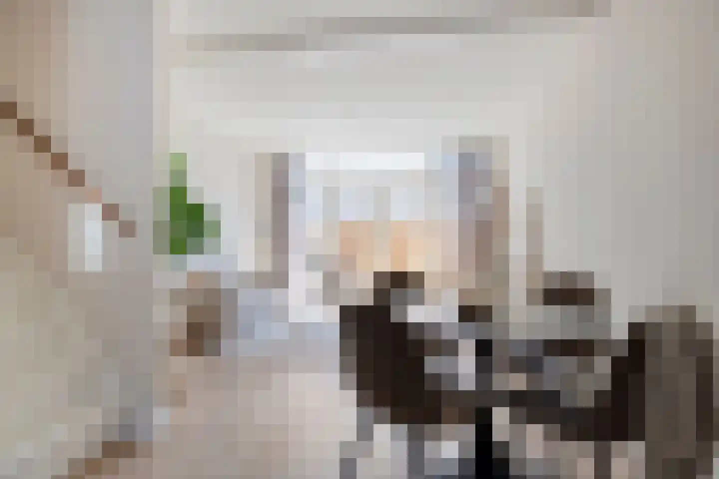 Julianastraat 17 Koog aan de Zaan thumbnail 14
