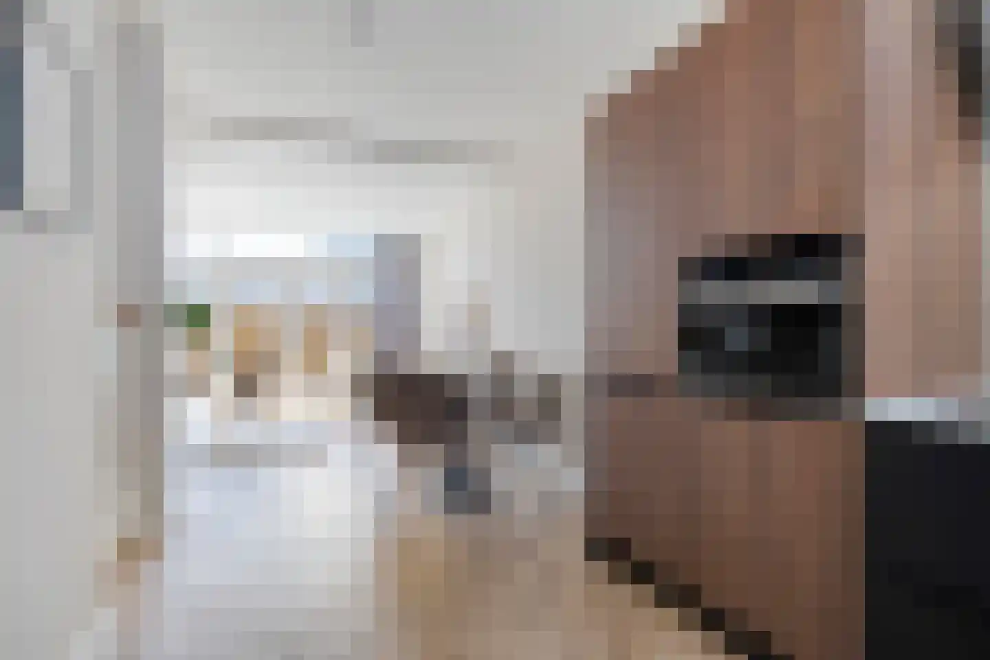 Julianastraat 17 Koog aan de Zaan thumbnail 16