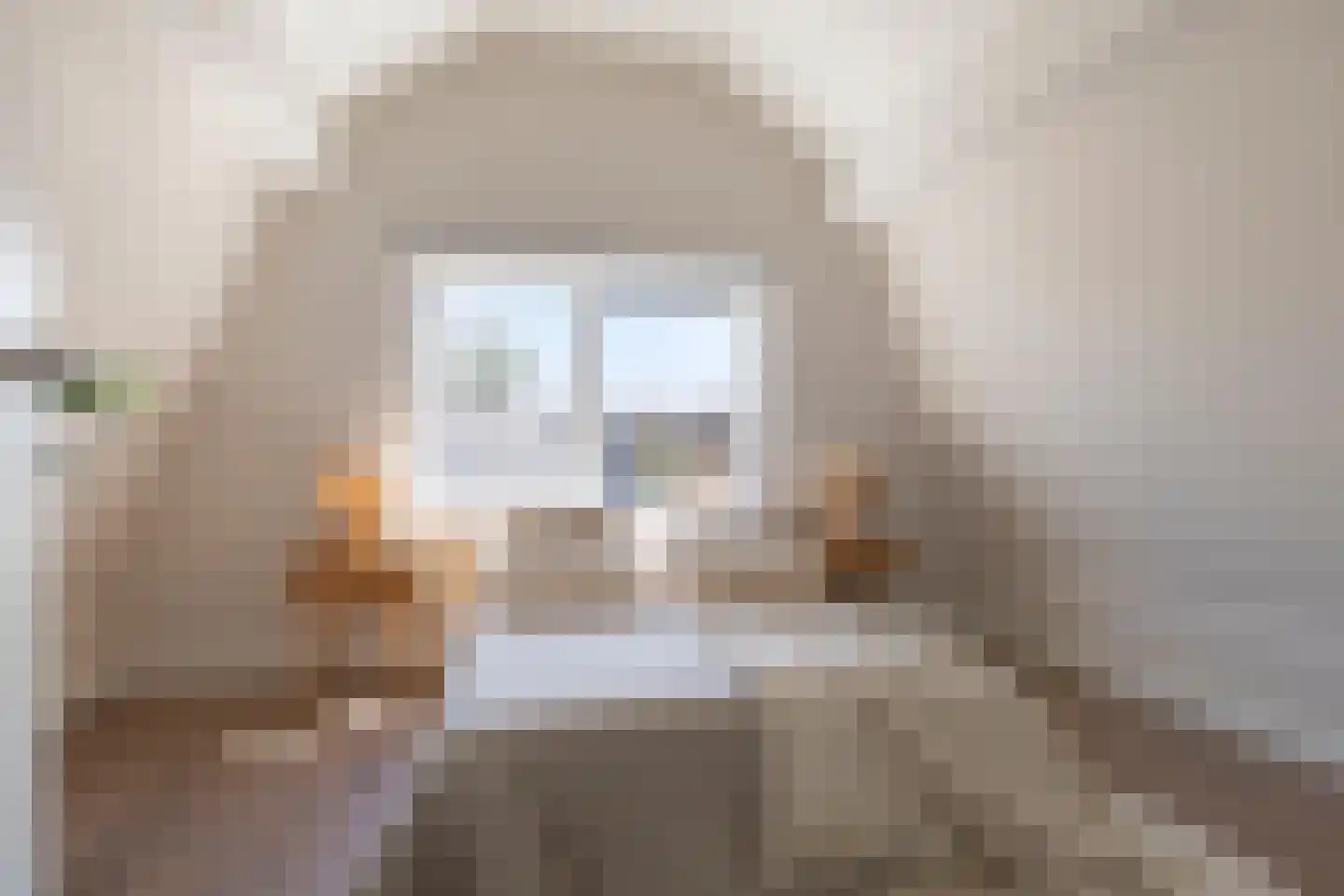 Julianastraat 17 Koog aan de Zaan thumbnail 22