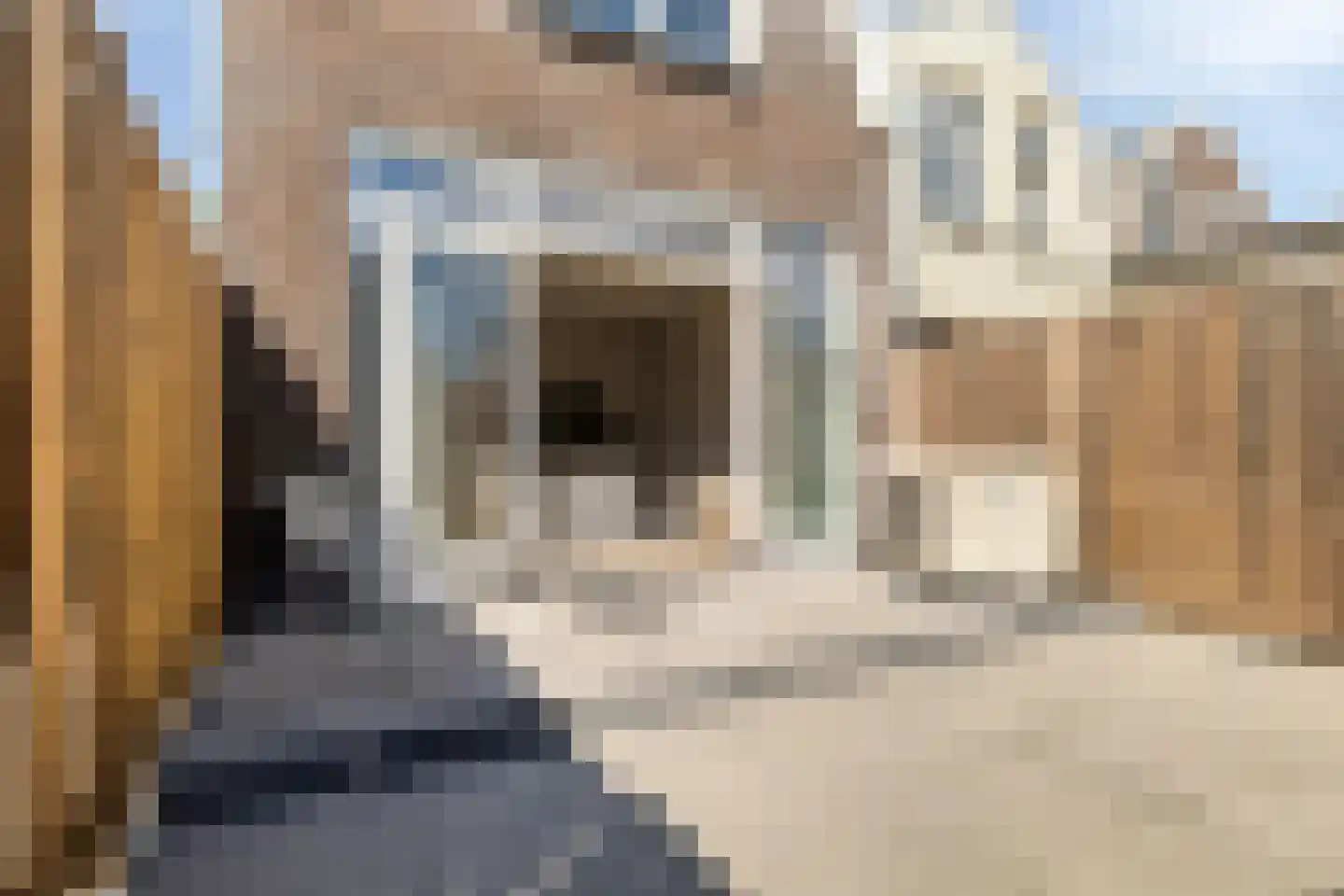 Julianastraat 17 Koog aan de Zaan thumbnail 27