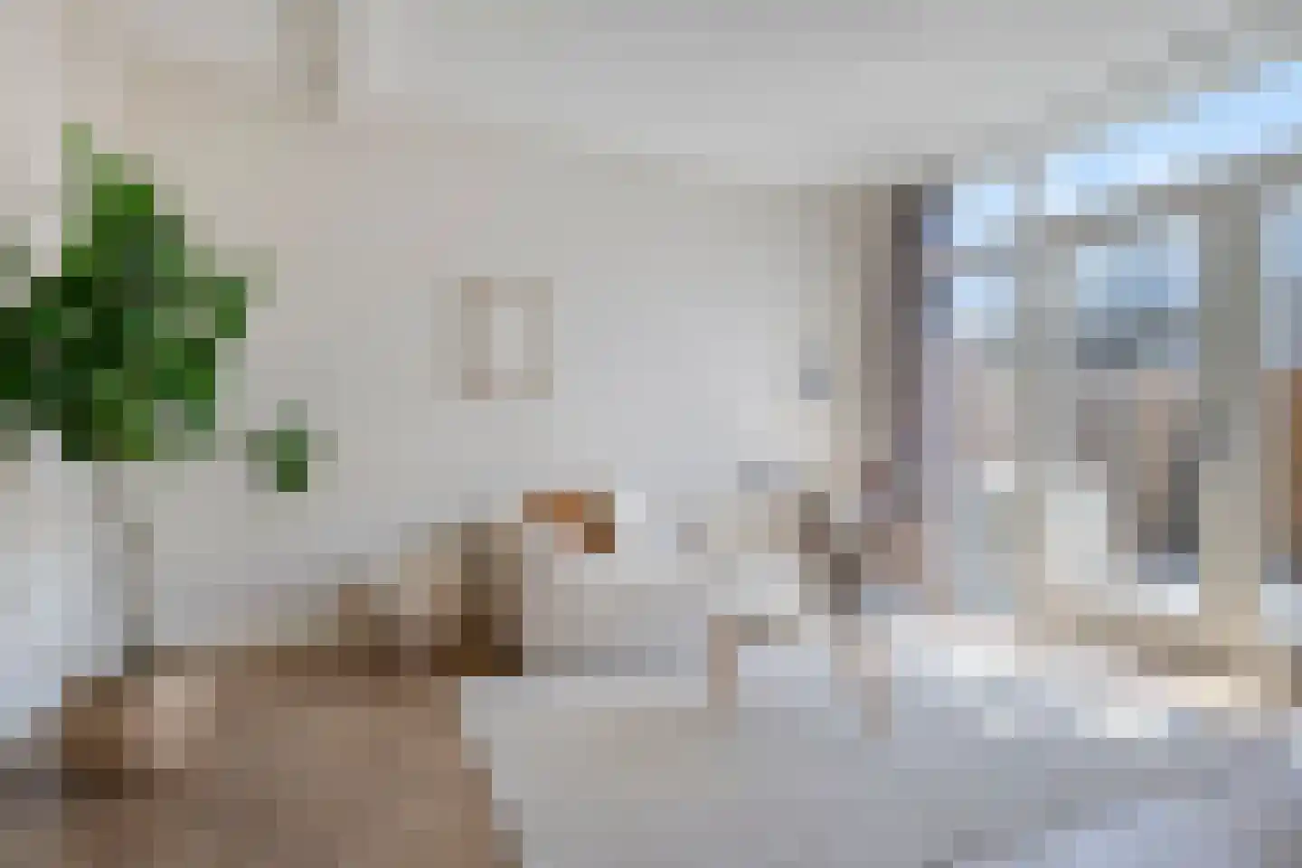 Julianastraat 17 Koog aan de Zaan thumbnail 9