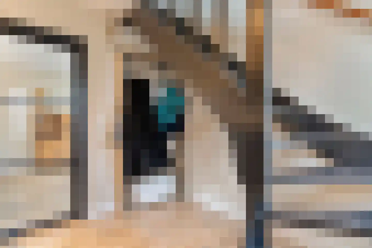 Julianastraat 17 Nijeveen thumbnail 18