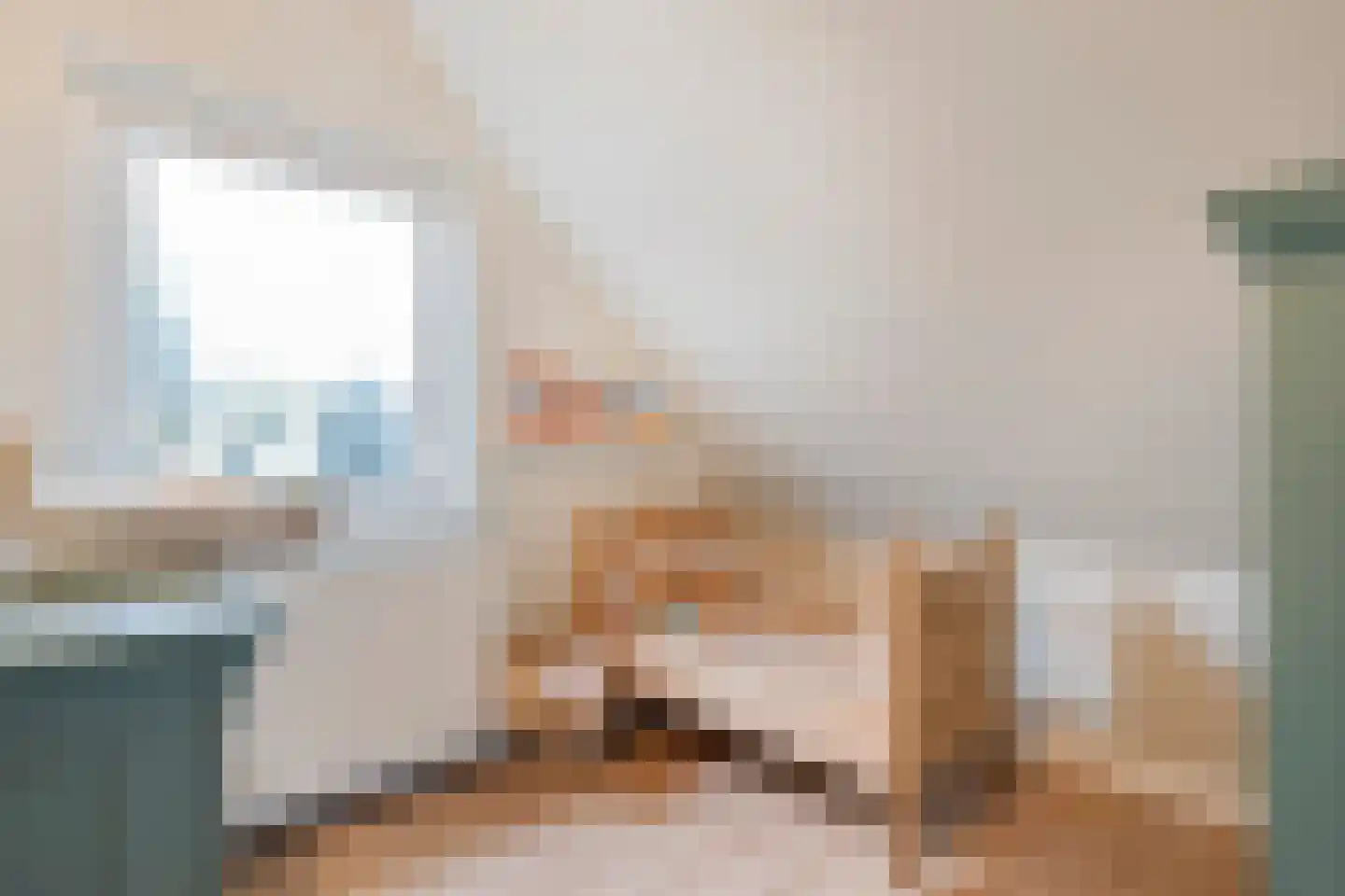 Julianastraat 17 Nijeveen thumbnail 26